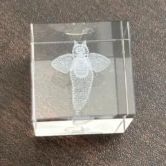 Item thumbnail for item d0eeb9be-b933-4298-9b0e-7c34e505b178