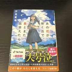 Item thumbnail for item 2a6ed8ac-8b50-471e-bb9f-36f4bf1dbeeb