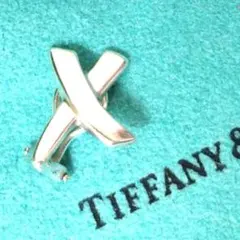 美品Tiffany&Co. パロマピカソ キス イヤリング シルバー925 片耳のサムネイル
