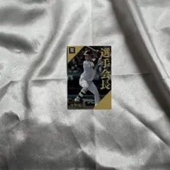 プロ野球チップスカード 2024 阪神タイガース 中野拓夢