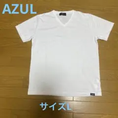 Vネック Tシャツ ホワイト 白 Lサイズ