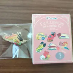 ジブリ　ピンズコレクション　私のお気に入り