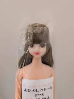 2025年最新】リカちゃんキャッスル サヤカの人気アイテム - メルカリ