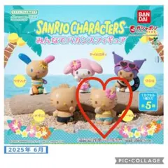⭐︎サンリオキャラクターズ バカンスフィギュア