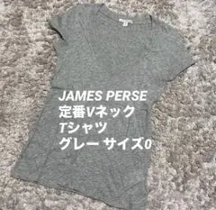 【JAMES PERSE】VネックTシャツ グレー サイズ0のサムネイル