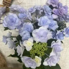 週末特価！6鉢価格！フェザー　マーメイドドレス　紫陽花　アジサイ　苗　苗木 超特価！4鉢価格！マーメイドドレス 紫陽花 アジサイ 苗 苗木 5号鉢