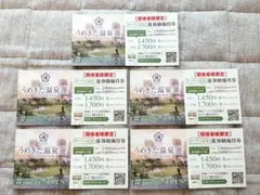 うめきた温泉蓮　体験優待券5枚セット