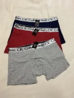 大*元様 Calvin Klein ボクサーブリーフ 3枚セットXL 未着用
