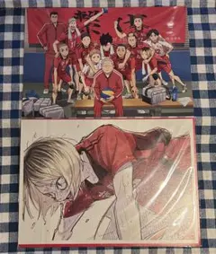 劇場版 ハイキュー ゴミ捨て場の決戦 入場者特典 弧爪研磨 音駒