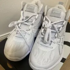 【新品！未使用！送料込み】アシックス、バッシュ、ゲルフープ