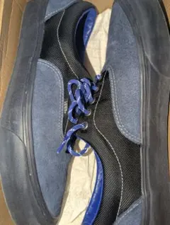 箱無 VANS vault エラ 30cm