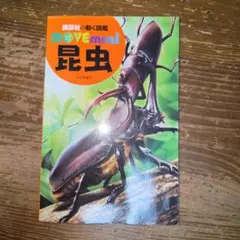 講談社の動く図鑑 MOVE mini 昆虫