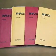 駿台 数学XS 数学ZS 2024 後期 テキスト(解答、解説付き) - メルカリ