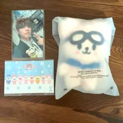 skzoo 10cmぬい PILOT パピーム スンミントレカ付き