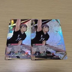 Item thumbnail for item 7224ebac-3d4a-43d4-9f7c-de02a0e9b285