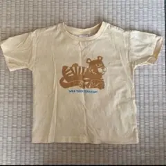 ザラ　ZARA WILD TIGER TERRITORY Tシャツ