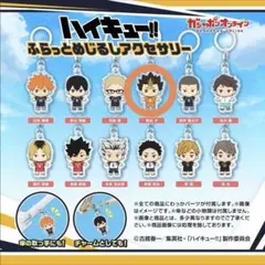 ハイキュー!! ふらっとめじるしアクセサリー　西谷夕