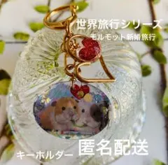 世界旅行シリーズ　モルモットの新婚旅行　A