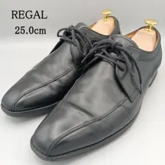 REGAL リーガル GORE-TEX ゴアテックス スワールトゥ 25.0㎝
