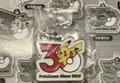 ポケモン　30周年　めじるし　メタルチャームマスコット