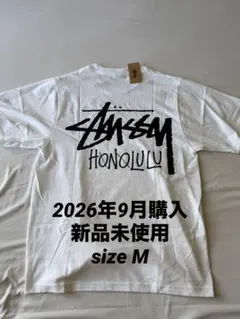 2026年最新】新品 ハワイ限定 stussyの人気アイテム - メルカリ