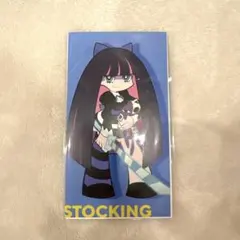 パンティ&ストッキング with ガーターベルト　(ストッキング)