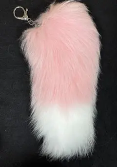 Item thumbnail for item c01f69e0-1355-4089-864f-3617c4cf3f47