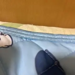 専用