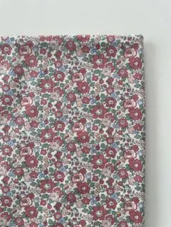 2m libertyタナローン betsy縮小版