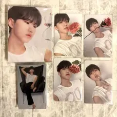 セブチ 17 IS RIGHT HERE CARAT盤 ホシ バインダー トレカ