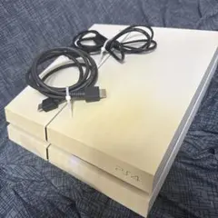 ホワイト PS4 本体 電源・HDMIケーブル付き（コントローラー無し）