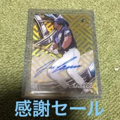 2025年最新】ホセカンセコの人気アイテム - メルカリ