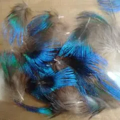 Item thumbnail for item 54e65de4-6897-4d99-bff1-74db414d20d7