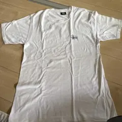 Item thumbnail for item 13b45f44-ba2d-4f55-85f8-573db02c274b