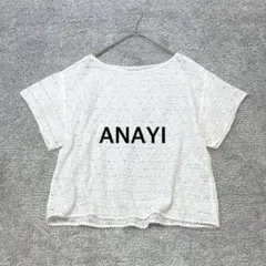 【ANAYI】レースカットソー シアー ホワイト 半袖のサムネイル