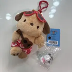 ポチャッコ　ハワイ　日焼け キーホルダー サンリオ＆ポチャッコ めじるし　セット