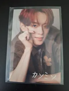 Item thumbnail for item 896e8262-9c55-4fd3-8e15-dbf46b0d83bd