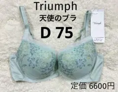 トリンプ 天使のブラ D75 ノンワイヤー　ブラジャー 魔法のハリ感　グリーン