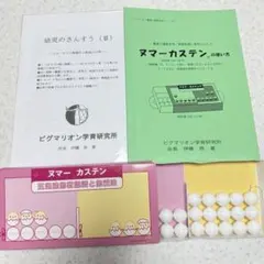 ピグマリオン】1〜20の数と計算 ヌマーカステンDVD付 ウッディブロック