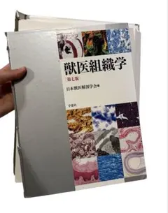 裁断済み　MAITLAND'S Manipulation 2冊セット 2026年最新】裁断済みの人気アイテム - メルカリ