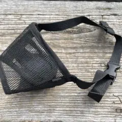 Item thumbnail for item 760e4350-1a70-4e5c-a2b6-3283592d0c44