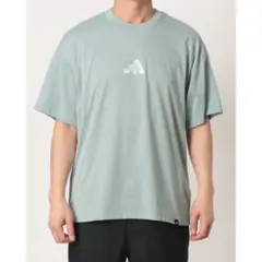 新品/入手困難】 IL BISONTE × Mizuno Tシャツ M - メルカリ