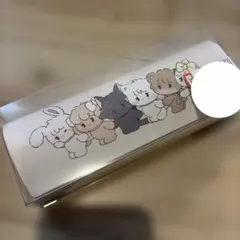 未開封】○ARIEL（エリアル）ラミカードケース カードケース