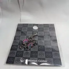 ポケモンメタルチャーム　テツノコウベ❁２