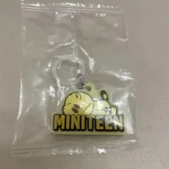 ミニティーン ガチャ ホシ めじるしアクセサリー