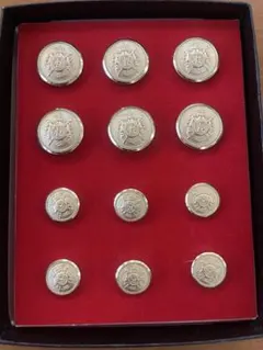 エンブレムデザイン 金色ボタン 12個セット　未使用