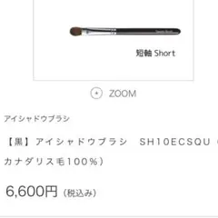 竹田ブラシ アイシャドウブラシ No.10 カナダリスSH10ECSQUのサムネイル