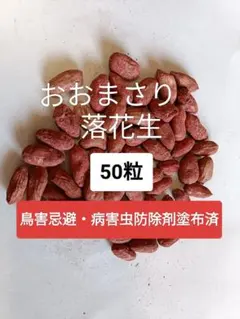 2026年最新】おおまさり 落花生の人気アイテム - メルカリ