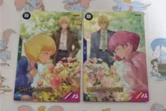 Syou様 リクエスト 2点 まとめ商品