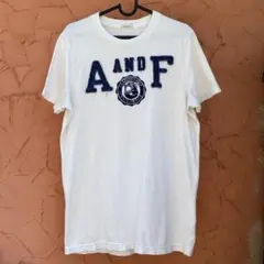 劇レア上陸前　全盛期Abercrombie & Fitch 刺繍Tシャツ